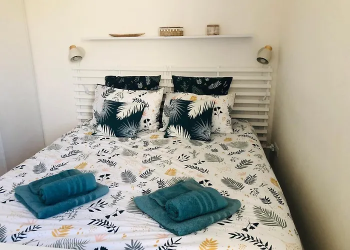 Tatil Evi Maison La Baliere,2 Chambres,5 Personnes, A 20 Minutes Du Puy Du Fou